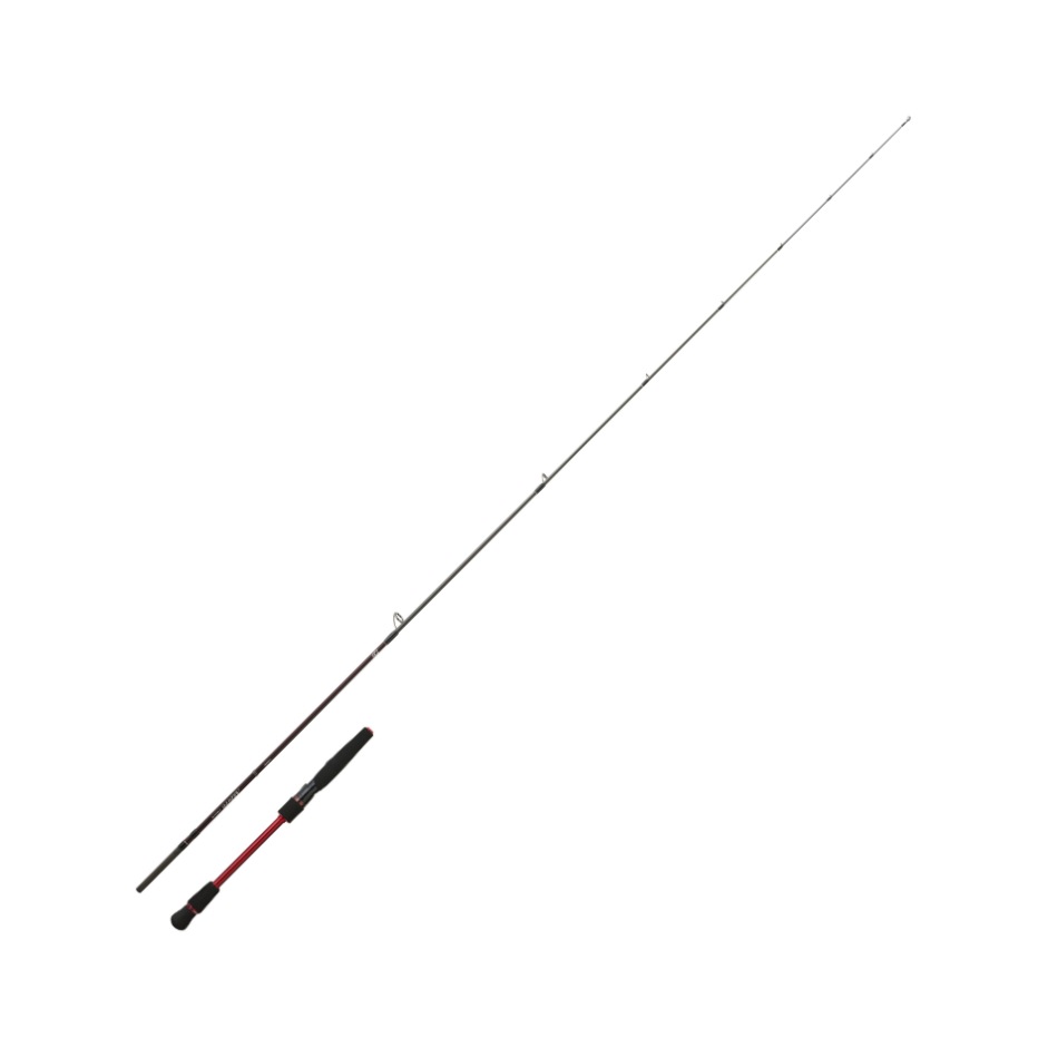 Canne Daiwa Ardito