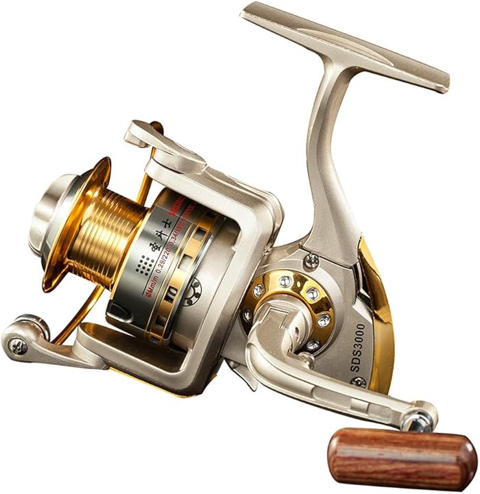 Diwa Saltwater Freshwater Fishing Reels