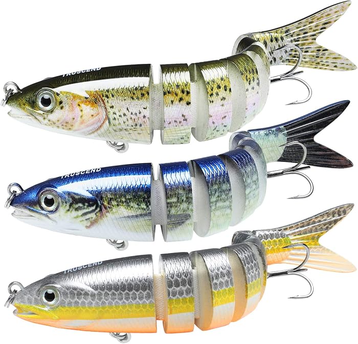 TRUSCEND Leurres de Pêche
