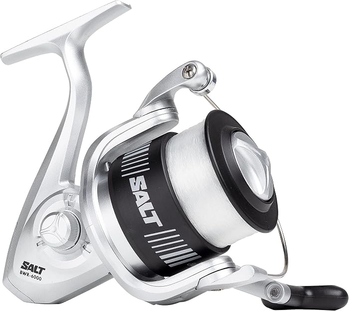 moulinet Shakespeare Salt
